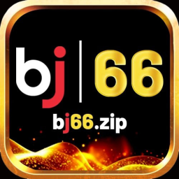 BJ66 Zip thumbnail