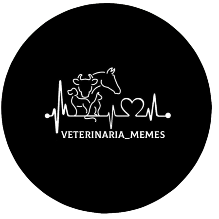 Cuentas vet thumbnail