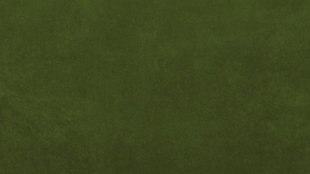 BioSite banner for @terrace