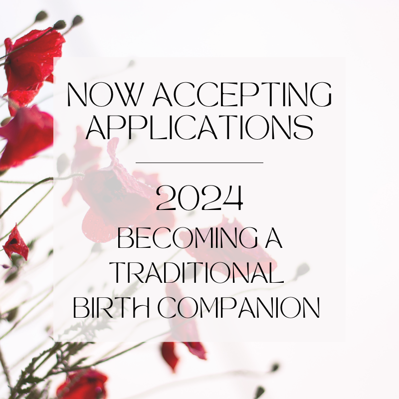 Apply Now! 2024 Becoming a Traditional Birth Companion thumbnail