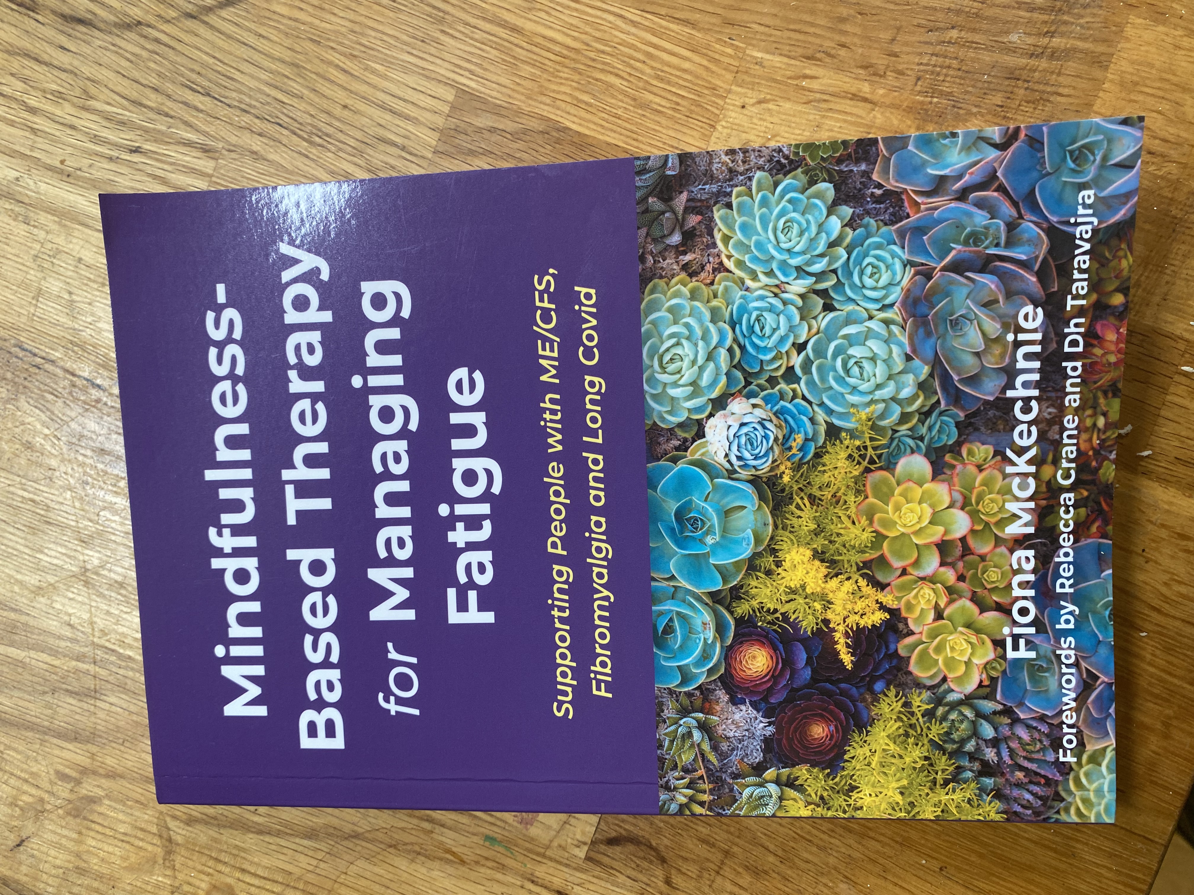 Book: Mindfulness based therapy for managing Fatigue  thumbnail