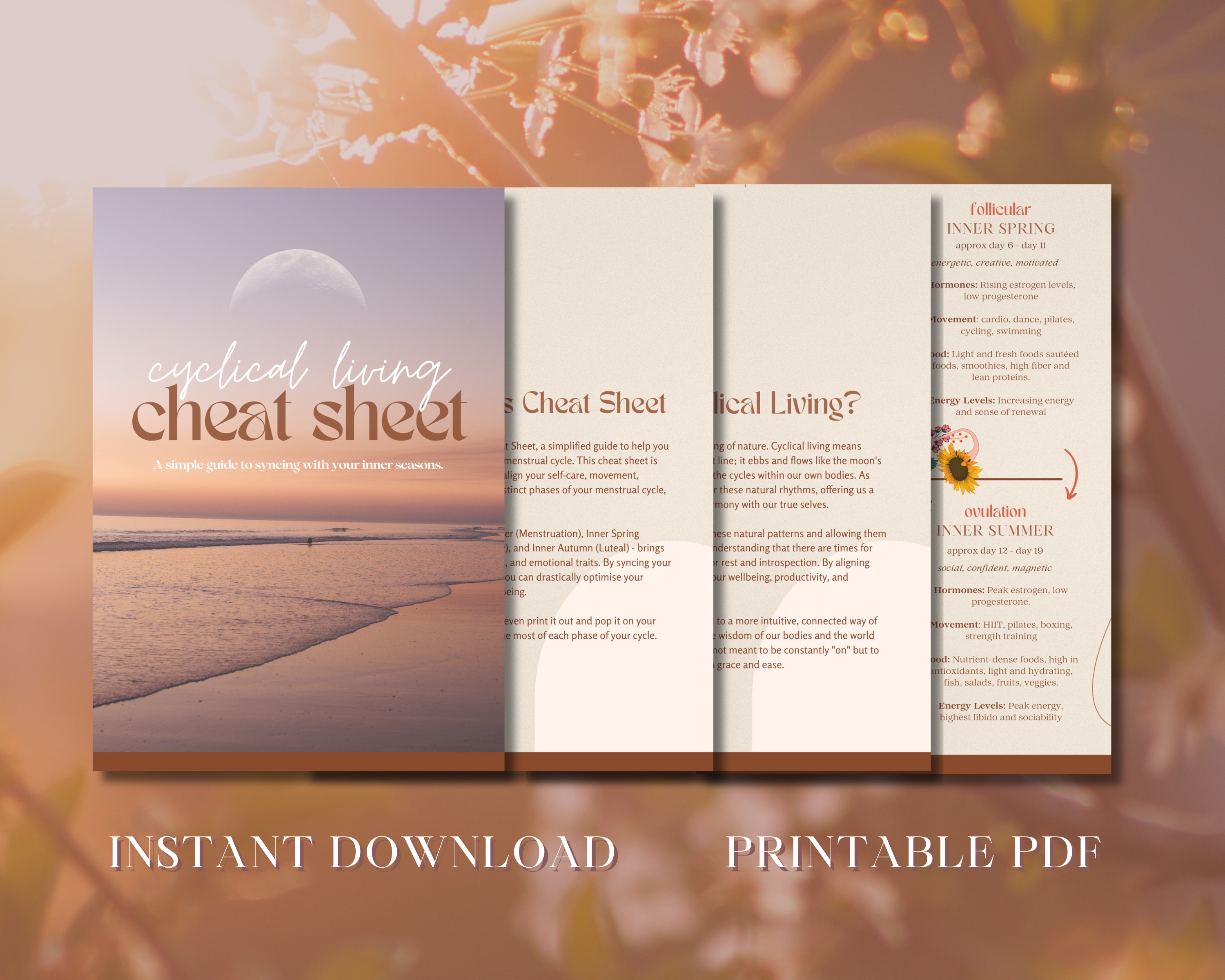 Inner Seasons Cheat Sheet thumbnail