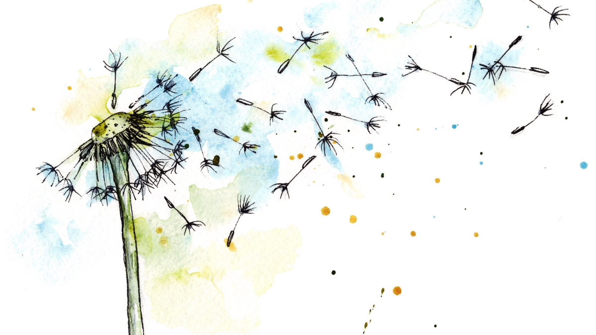 BioSite banner for @dandelion