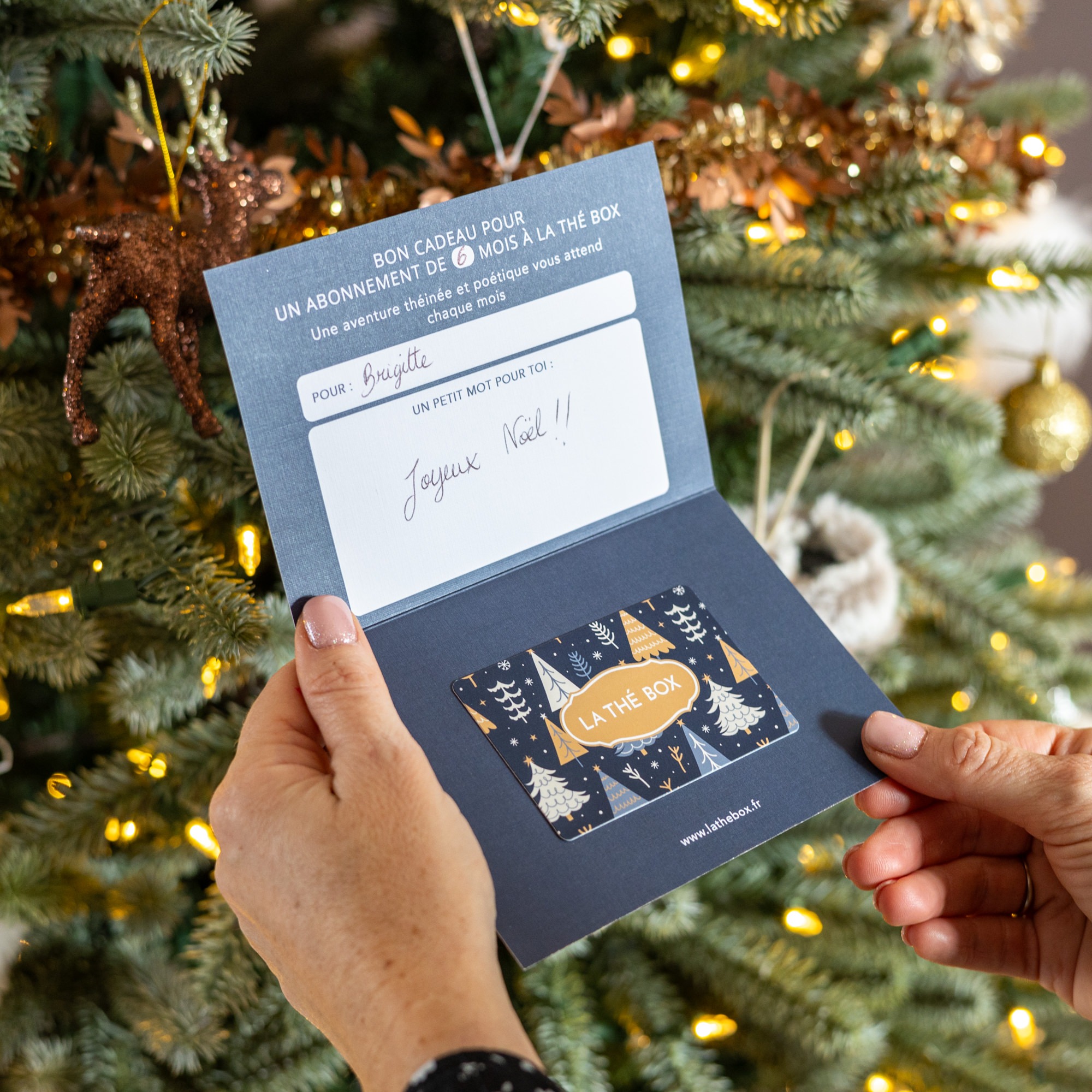 Offrez-lui un voyage autour du monde thumbnail