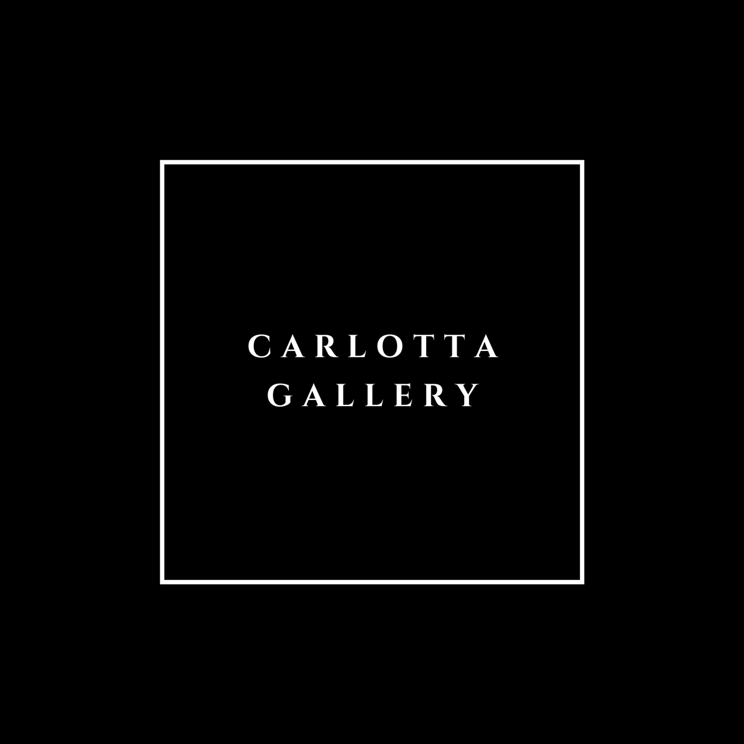 "Dark Frames" | Carlotta Gallery thumbnail