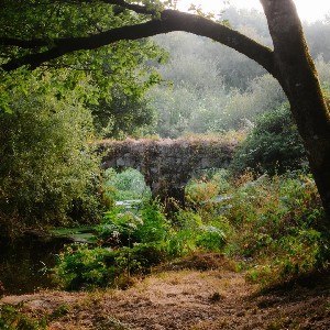 Impressions / Prints thumbnail