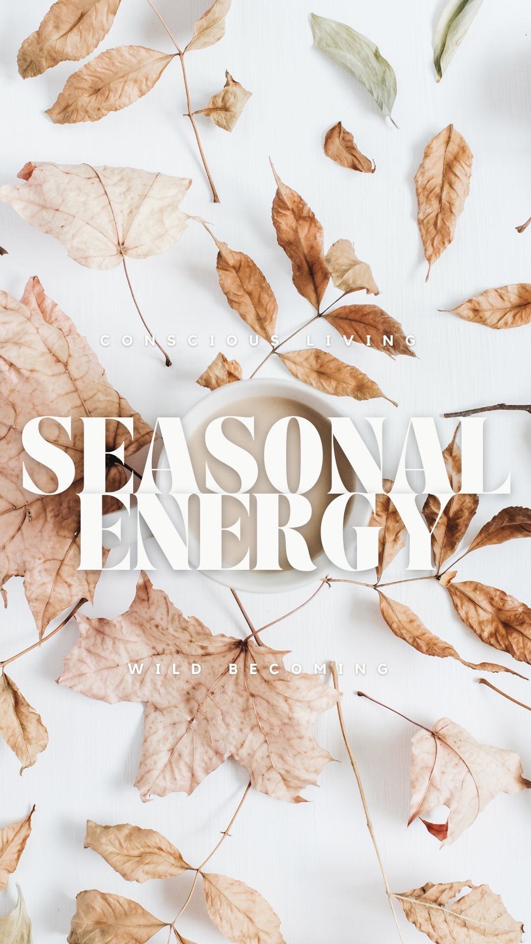 Embrace the power of each seasons unique energy. Are you using the energy of the season wisely? 

By aligning ourselves 