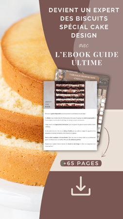 ebook guide biscuit spécial cake design thumbnail