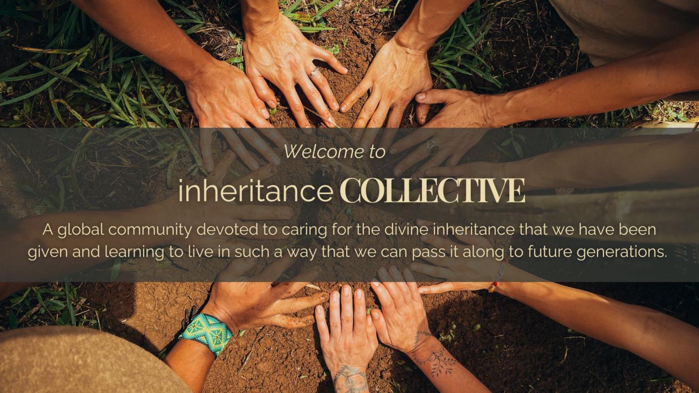 inheritanceCOLLECTIVE (join the movement!) thumbnail