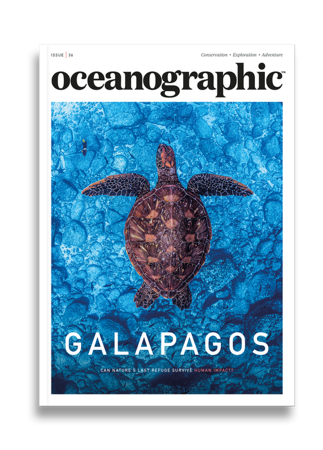 Galapagos thumbnail