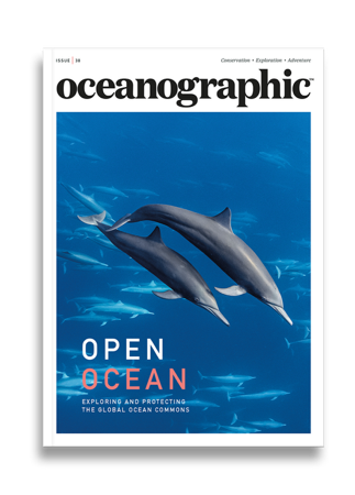 Open Ocean Story thumbnail