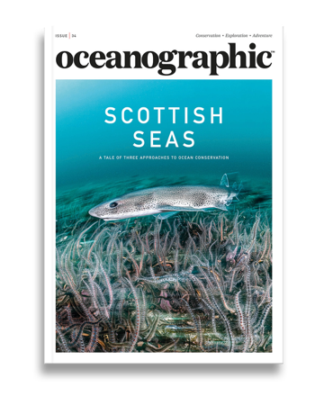Protecting Scottish Seas thumbnail