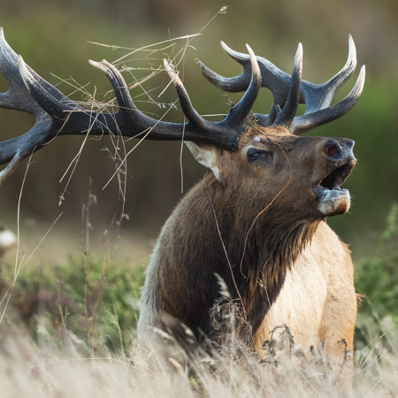 Point Reyes Workshop 2026 thumbnail