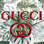 Gucci thumbnail