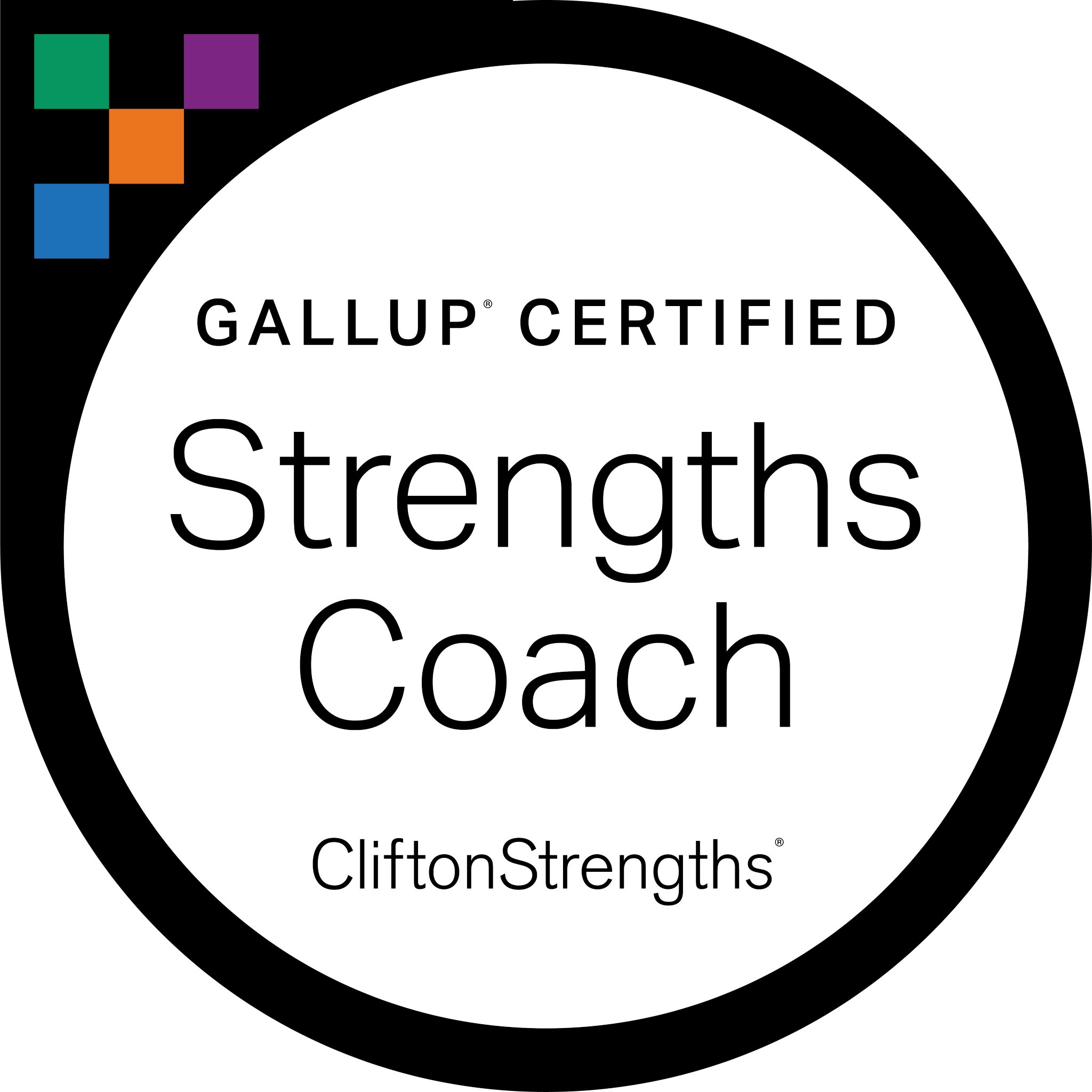 Gallup Strengths Discovery Call - Kris McPeak thumbnail