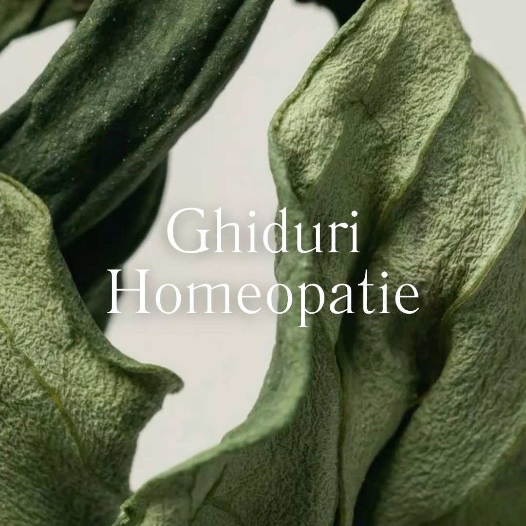 ✨Doar pentru comunitatea The Homeopathic Journey: poți folosi codul FOLLOW5 pentru 5% reducere la orice ghid✨ thumbnail