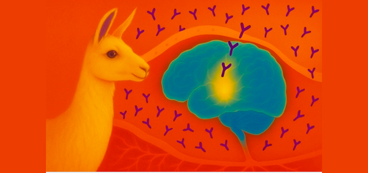 Collectif Schizophrénies - Portail français sur la schizophrénie et troubles associés thumbnail