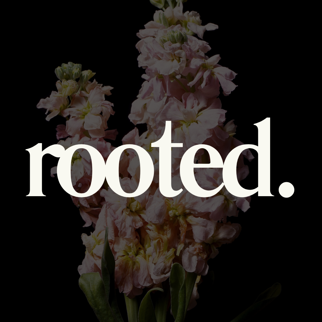 Download the ROOTED Bible Study thumbnail
