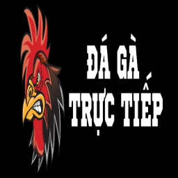 Đá Gà Trực Tiếp thumbnail