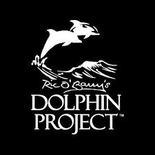 TAKE ACTION - SIGN PETITIONS thumbnail