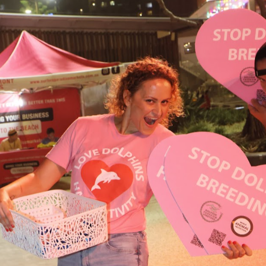 JOIN US FOR THE NEXT RALLY! thumbnail