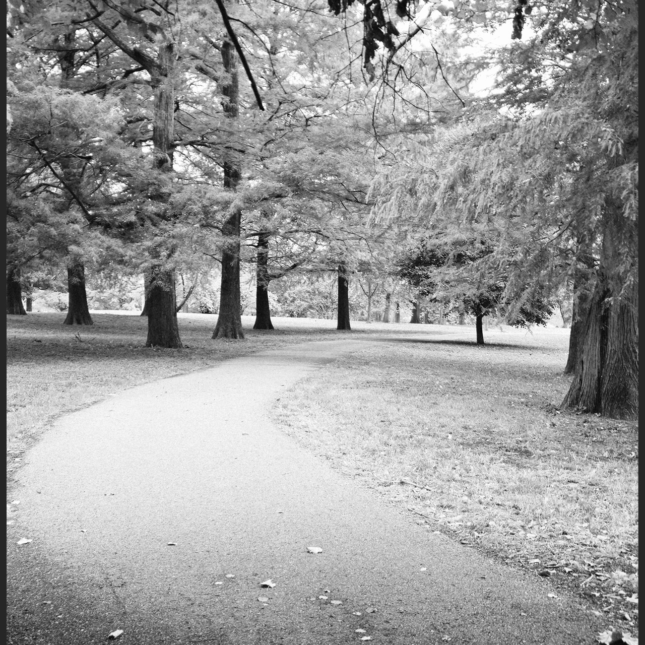 Photography thumbnail