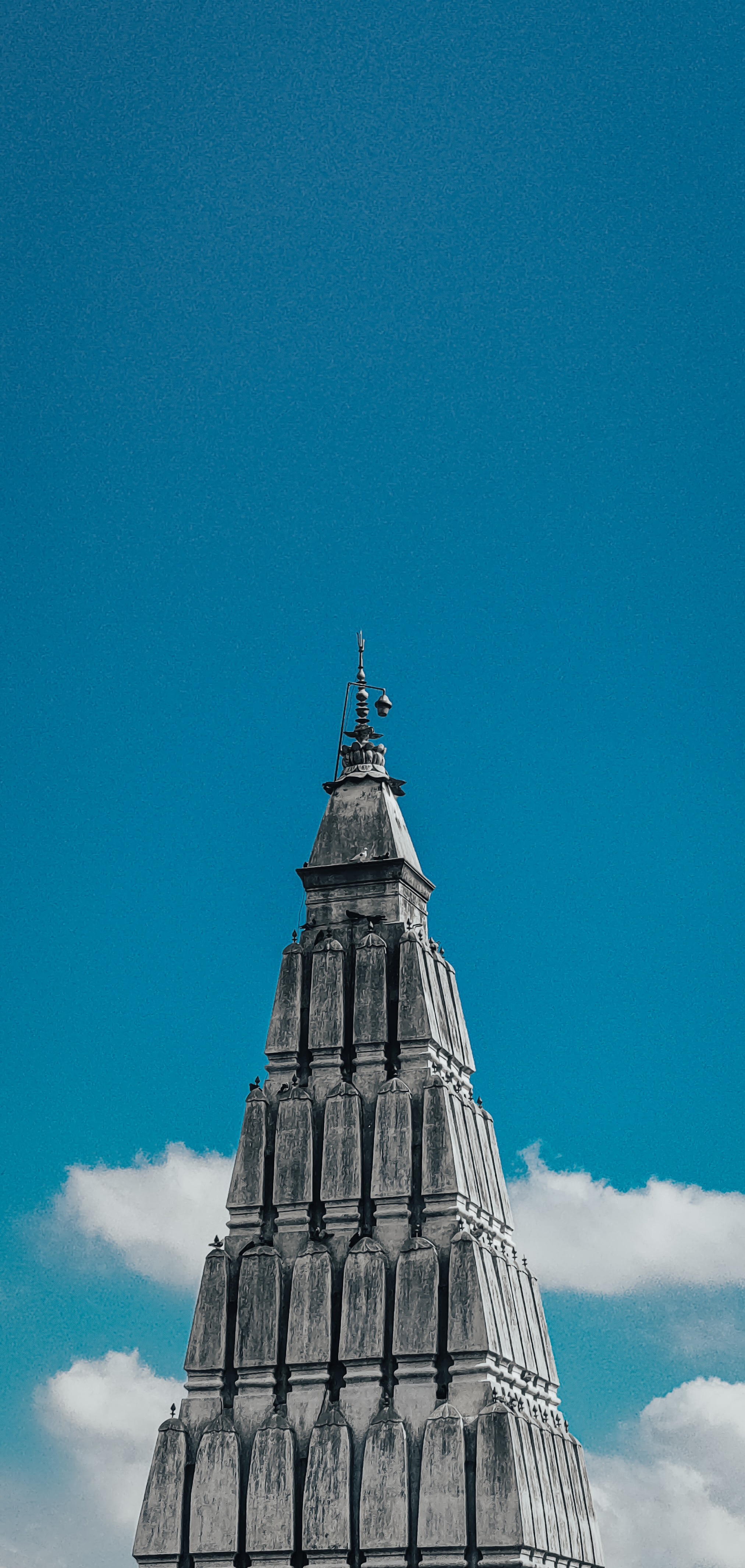 COLLECTION thumbnail