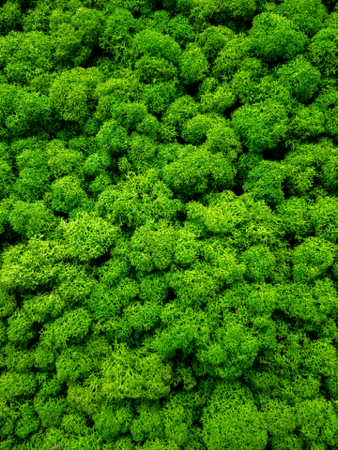 Book a guidance session thumbnail