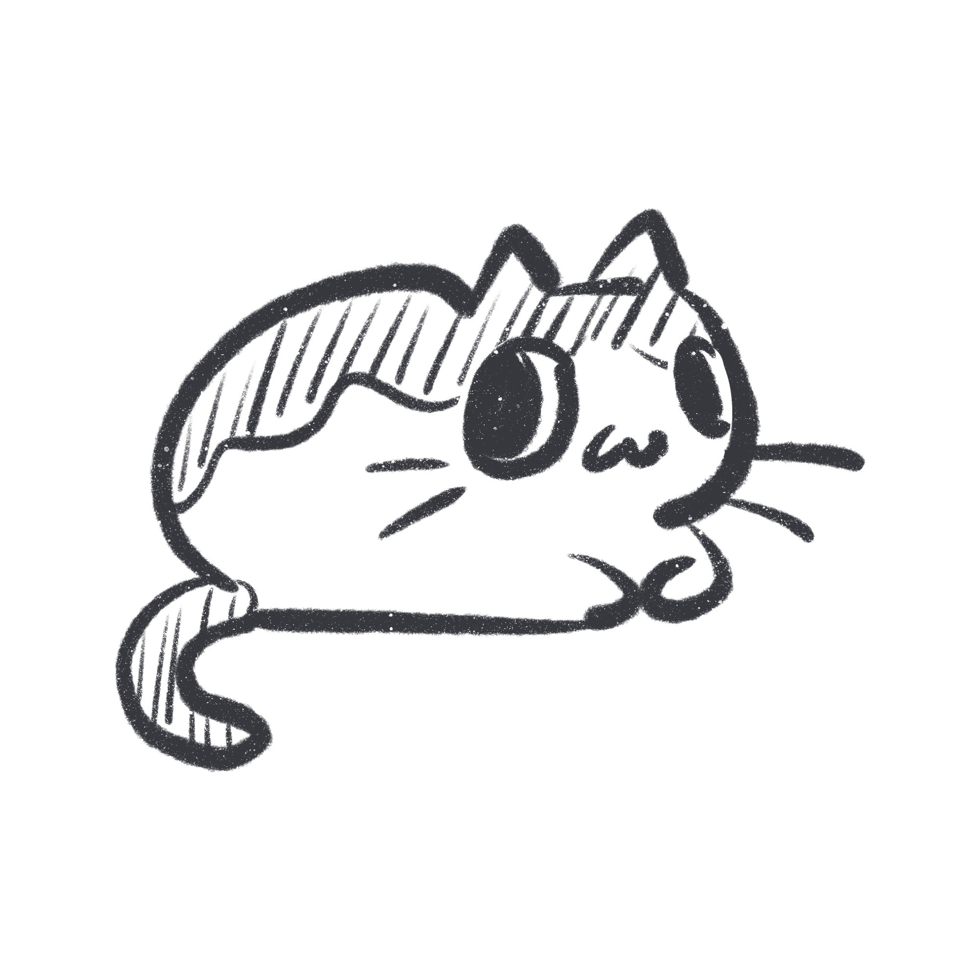 Lando my cat! Instagram thumbnail