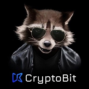 🦝 бот Crypto Raccoon 🦝 thumbnail