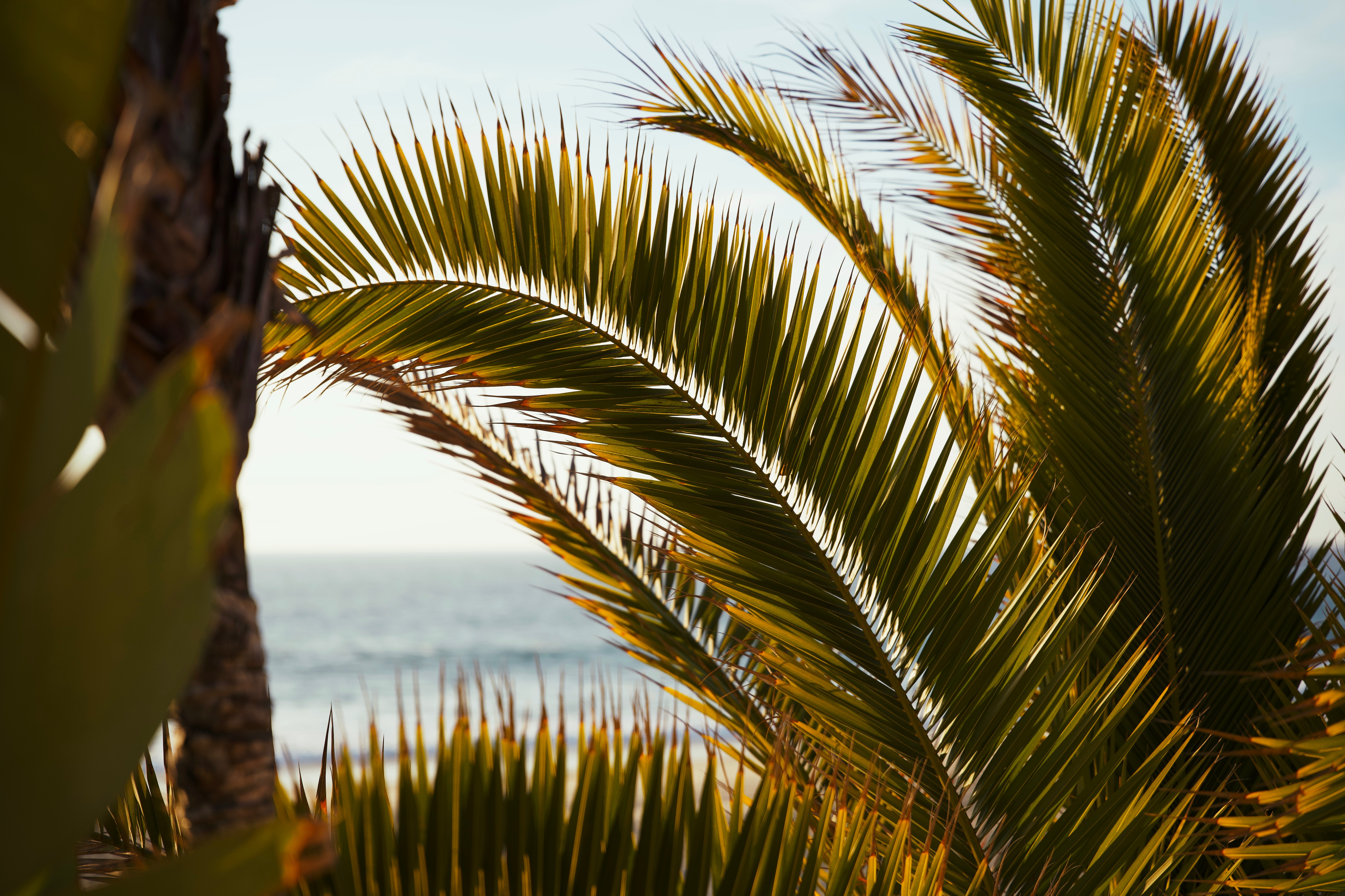 Salt Creek Gallery thumbnail