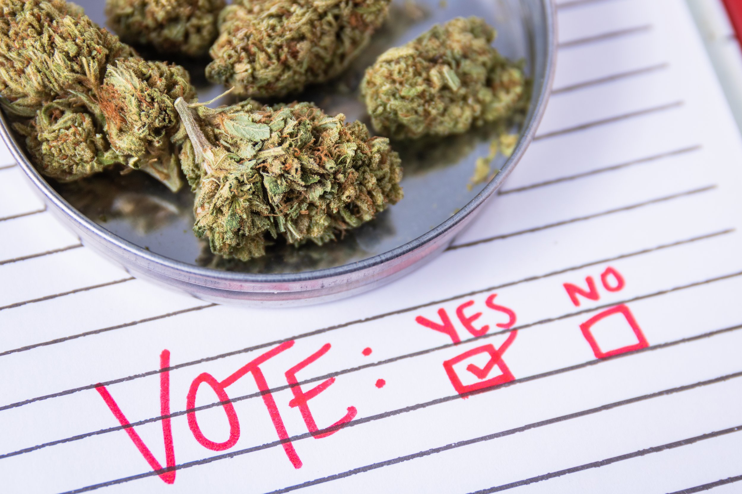 A Coalition Without A Caucus — THC Group thumbnail
