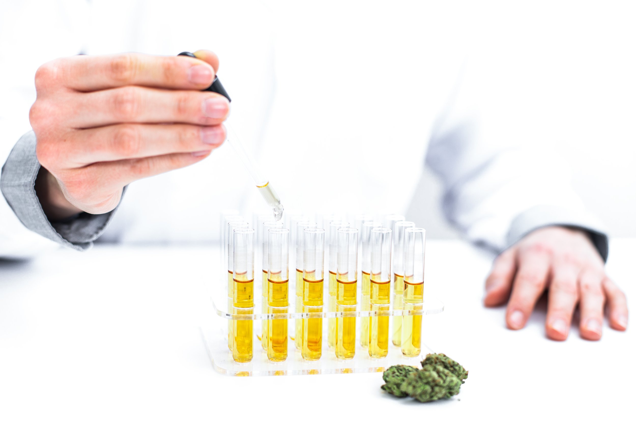 Cannabis Lab Testing Is Broken. Everyone Knows It. Nobody Has Fixed It. — THC Group thumbnail