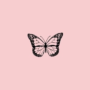 Política de atendimento  thumbnail