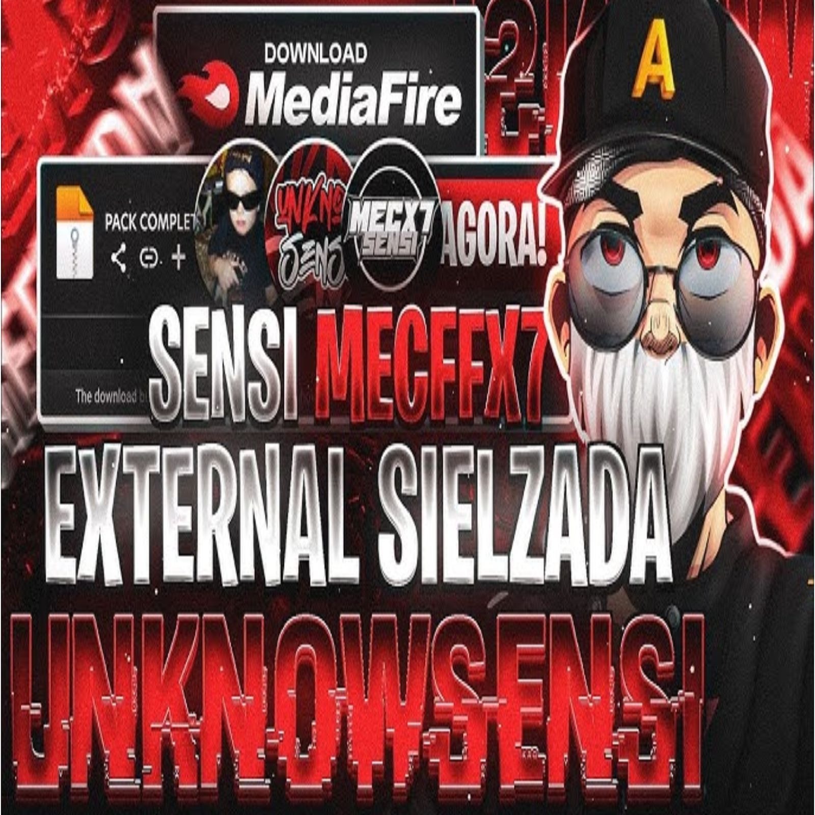 PAINEL ( SIELZADA) SENHA 2010 thumbnail