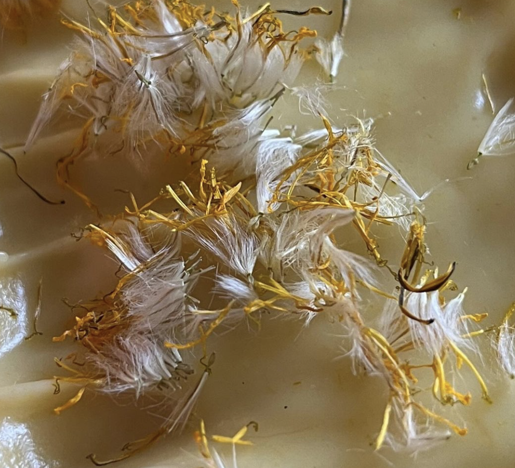 Dandelion Soap     £5 (85g) thumbnail