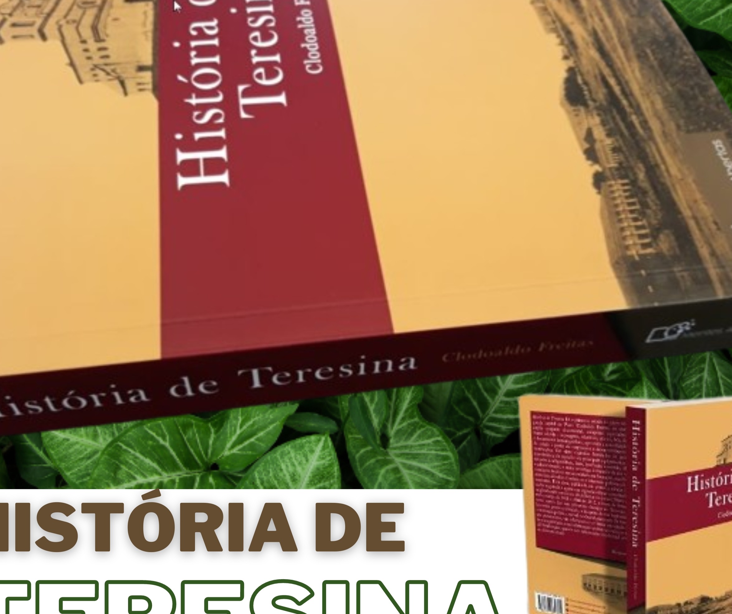 LIVRO HISTÓRIA DE TERESINA thumbnail