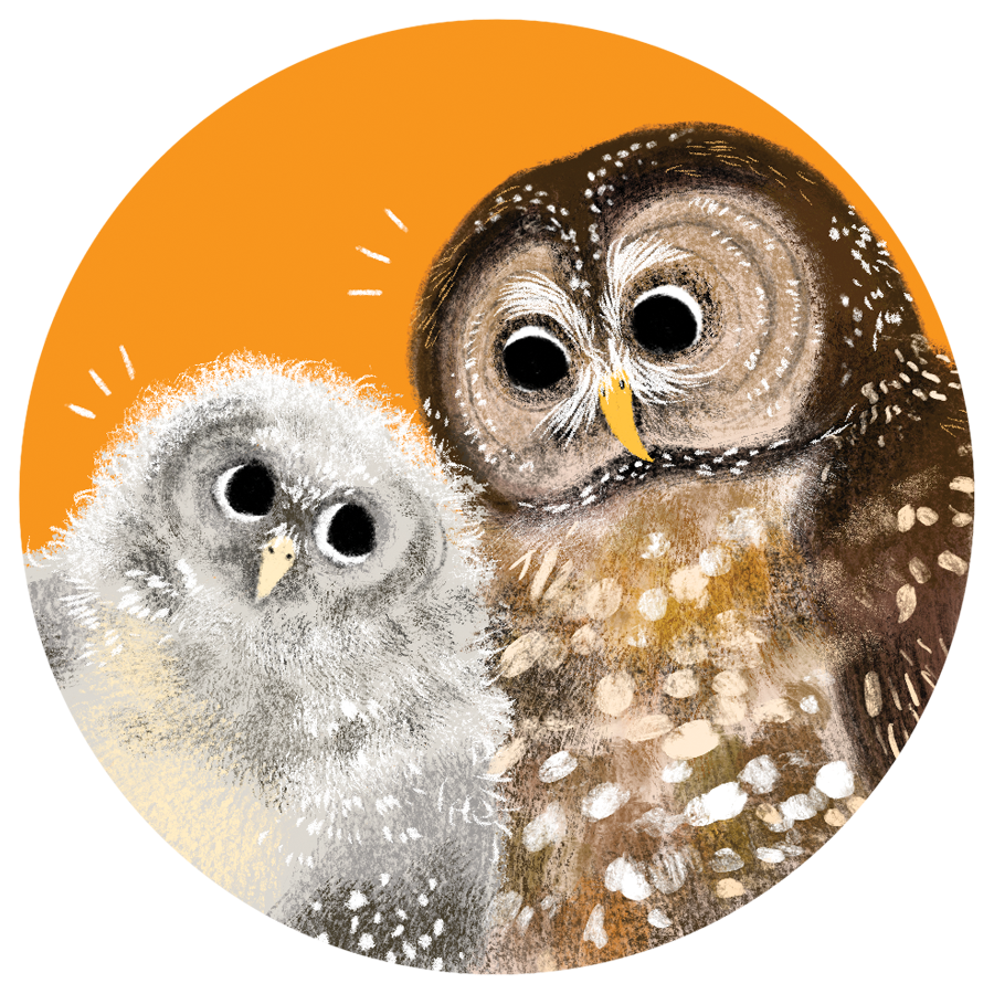 Saving the Spotted Owl by Nicola Jones (2023) - Available Now! thumbnail
