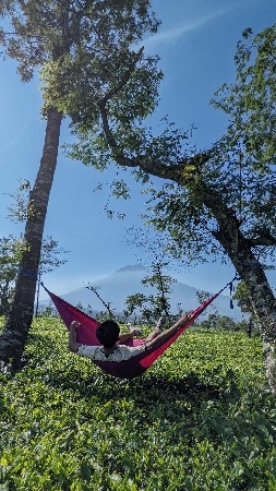WhatsApp 2 thumbnail