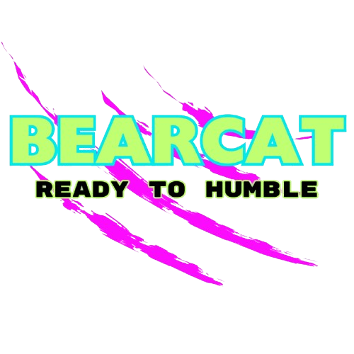 PRIVATE MUAY THAI LESSONS - BEARCAT TRAINING thumbnail