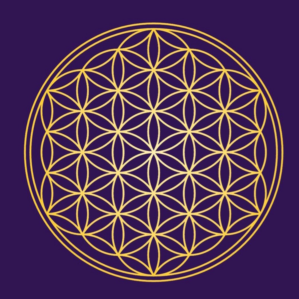 Bio Site Proaper thumbnail