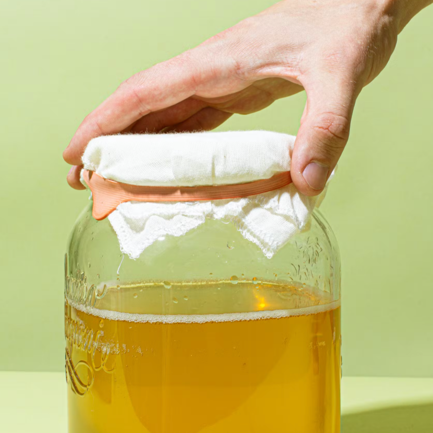 Zelf kombucha maken? Haal hier de SCOBY kombucha-starter!  thumbnail
