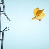 Want Wealth, Love, Health and Happiness? How to Get Your Inner Critic to Work For You Not Against You thumbnail