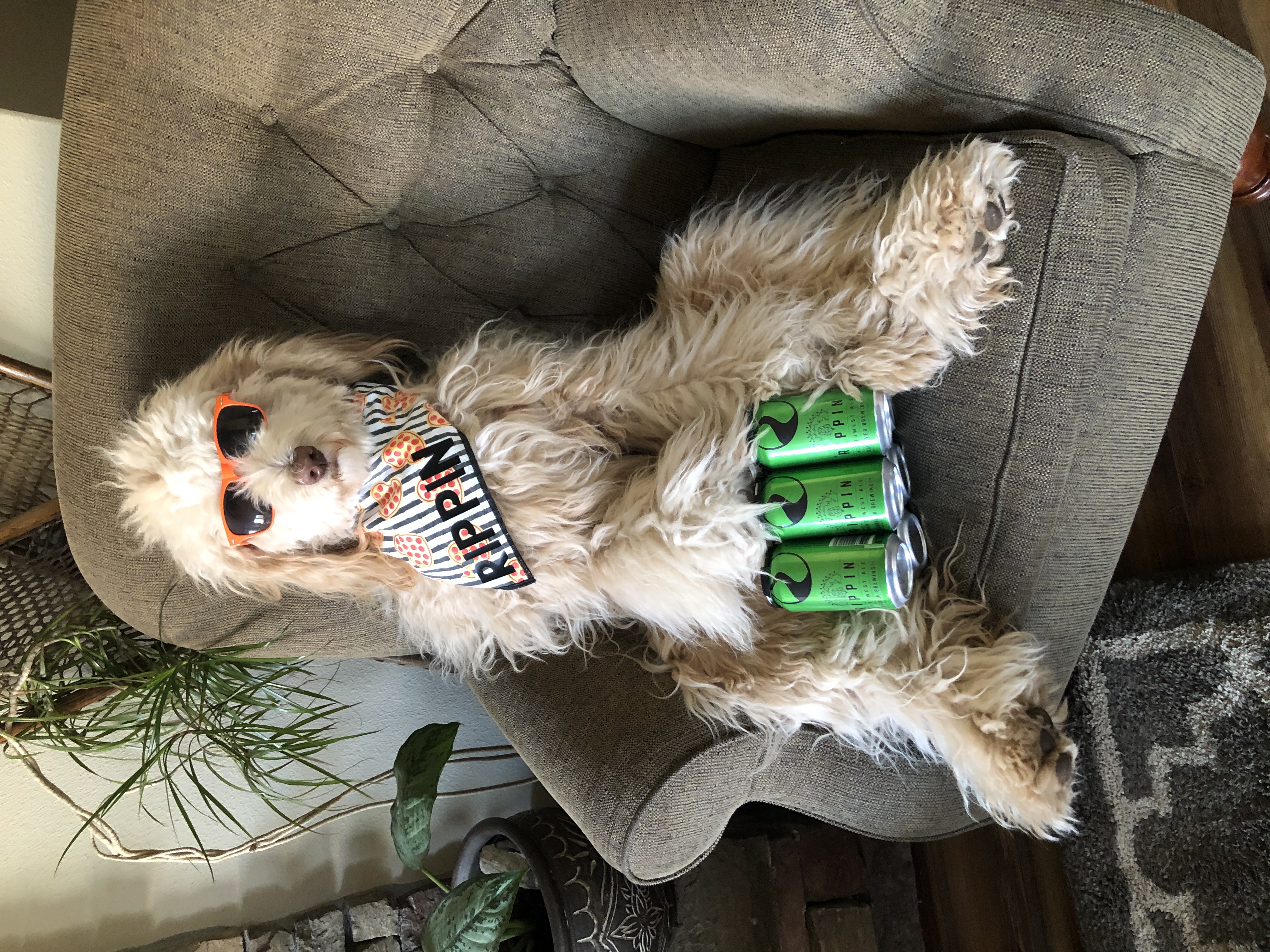 Rippindoodle thumbnail