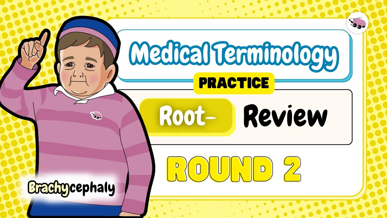 Round 2 Root Words thumbnail