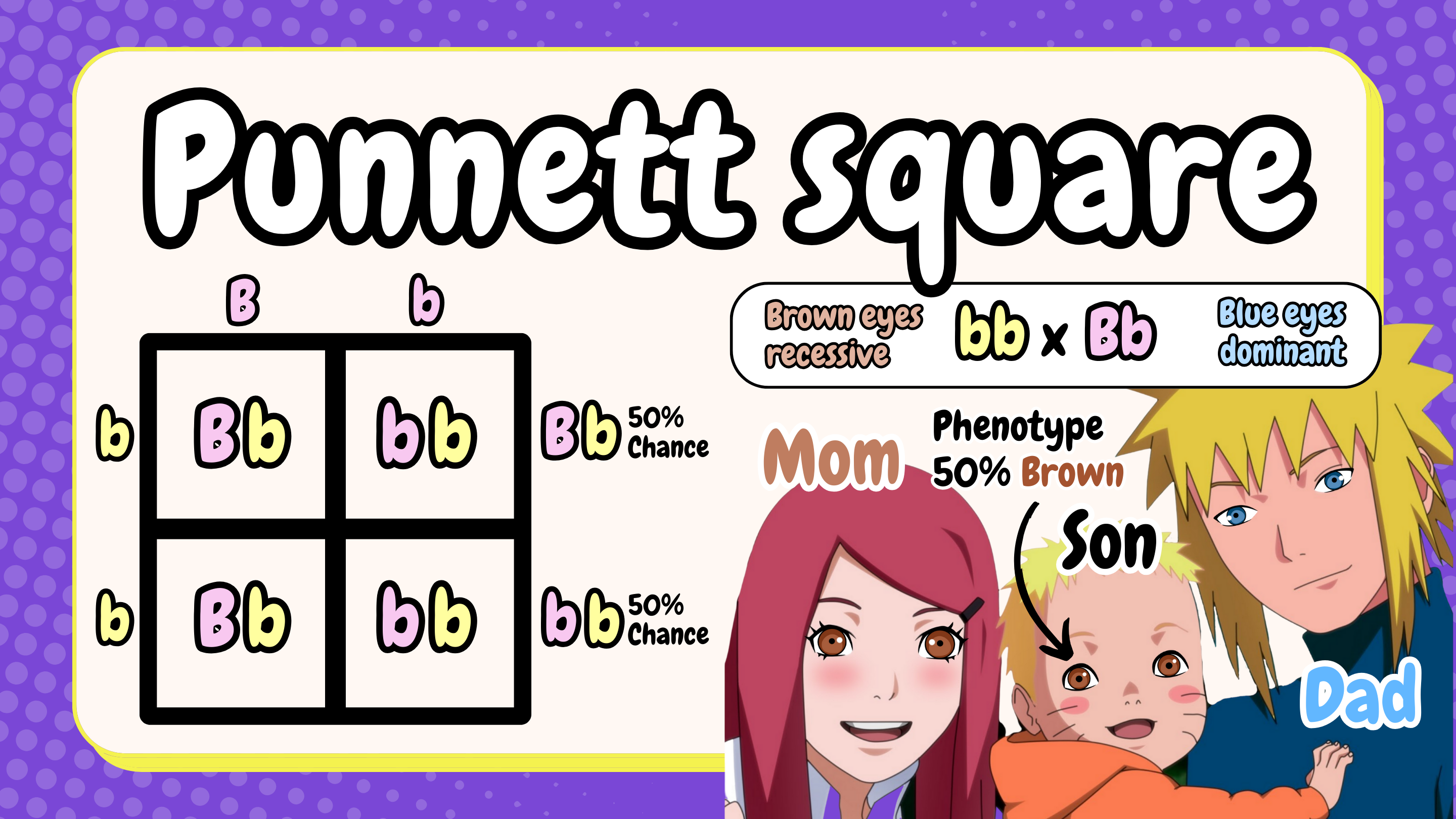 Punnett Square thumbnail