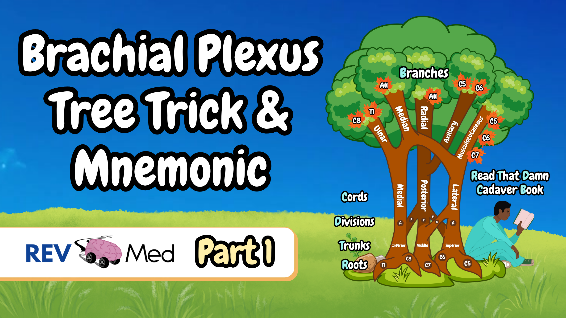 Tree thumbnail