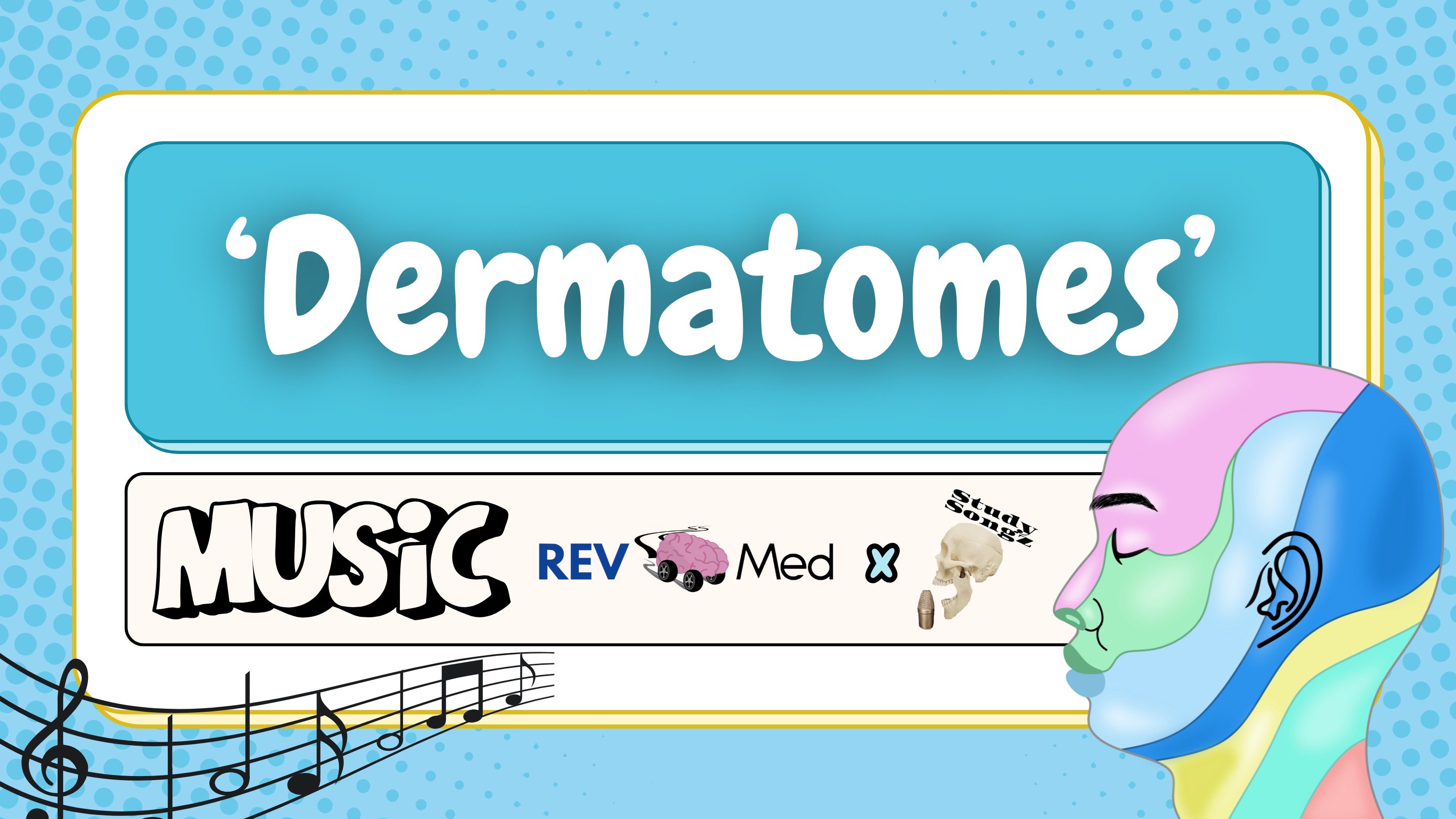 Dermatomes thumbnail