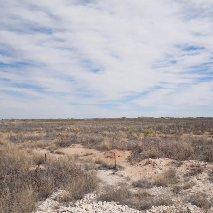 "These Compulsive Assertions of Contingency" (with Cameron Hu) for Society for Cultural Anthroplogy [2026] thumbnail