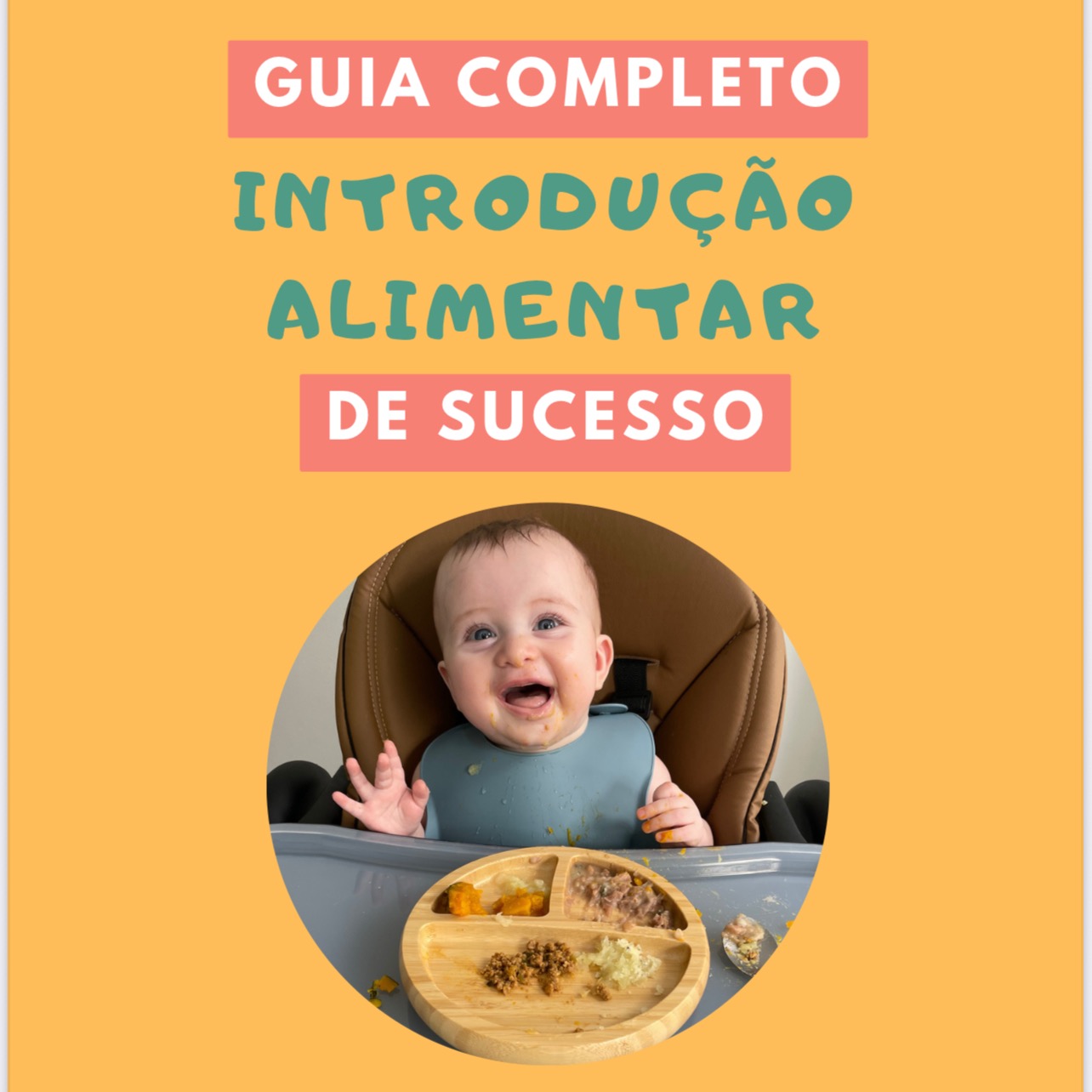 Guia Completo da Introdução Alimentar thumbnail